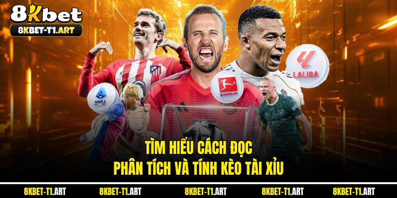 Tìm hiểu cách đọc, phân tích và tính kèo tài xỉu 